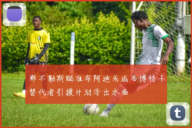 那不勒斯瞄准布阿迪或成洛博特卡替代者引援计划浮出水面