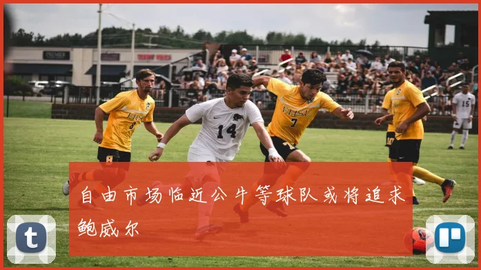 自由市场临近公牛等球队或将追求鲍威尔